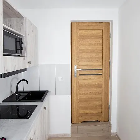 100-sio Kamienica Apartment