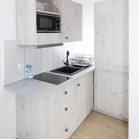 100-sio Kamienica Apartment