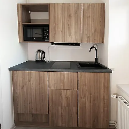 100-sio Kamienica Apartment *