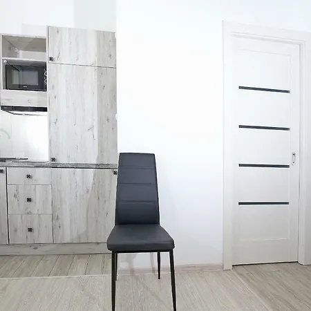 100-sio Kamienica Apartment *