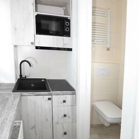 100-sio Kamienica Apartment *